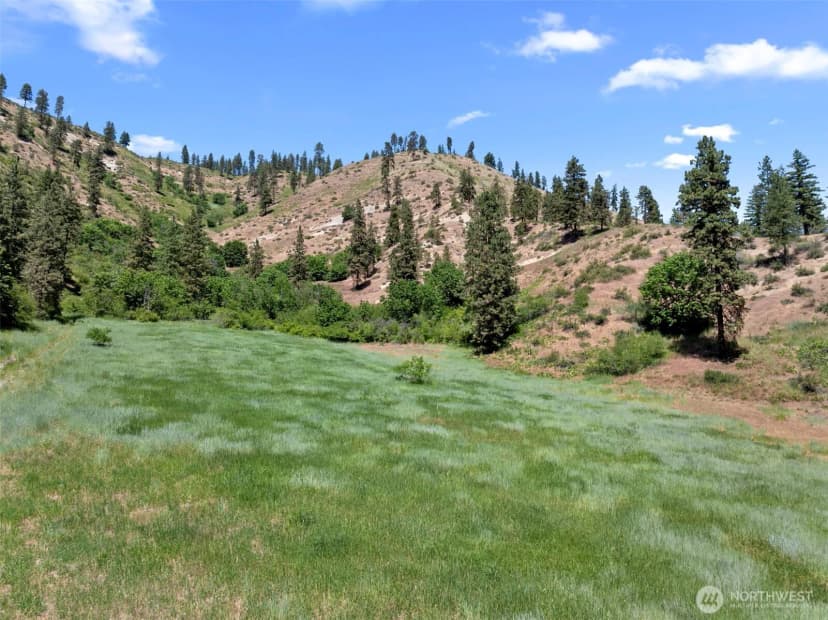 Property photo for 82 67 Karl Downs Lane, Cashmere photo 17