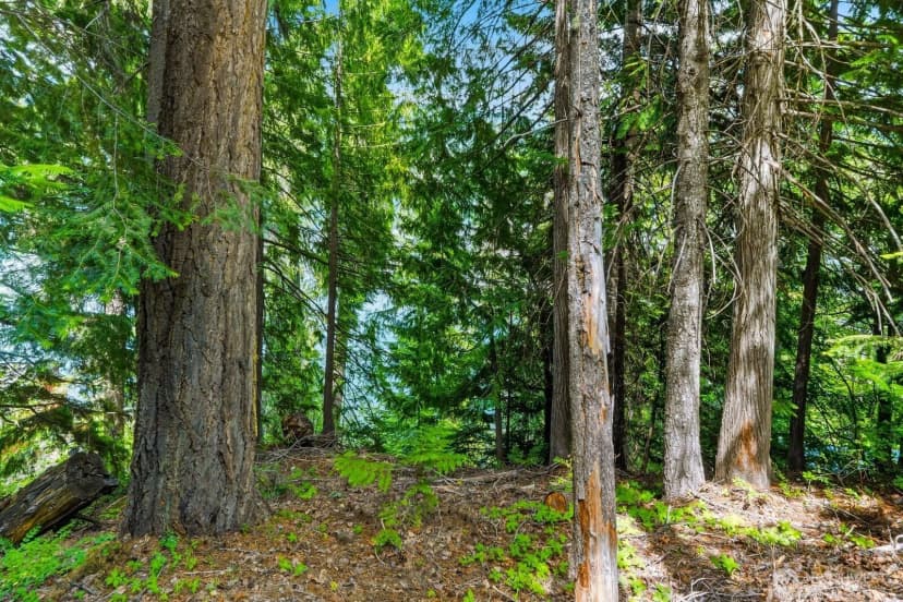 Property photo for 0 Cedar Brae Rd., Lake Wenatchee photo 18