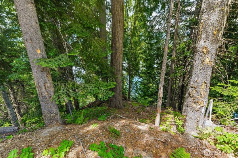 Property photo for 0 Cedar Brae Rd., Lake Wenatchee photo 7