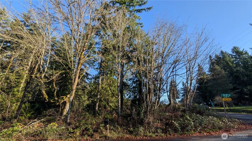 Property photo for 145 Xx 201st Avenue Se, Renton photo 3