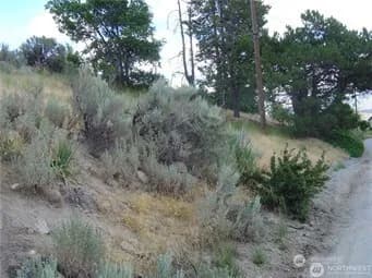 Property photo for 0 Nna Riverview Cemetery Road, Chelan photo 7