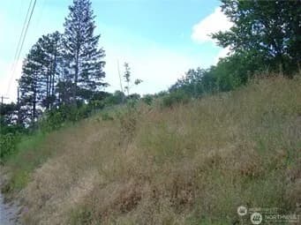 Property photo for 0 Nna Riverview Cemetery Road, Chelan