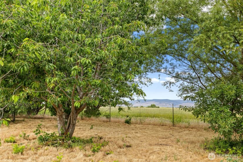 Property photo for 191 Mccoy Drive, Ellensburg photo 35