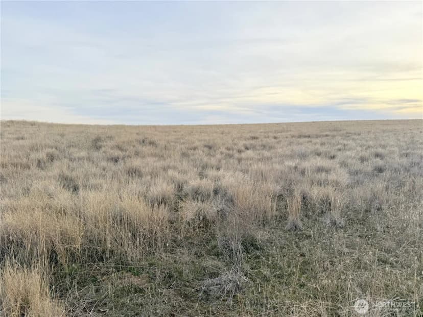 Property photo for 0 15.6 Road Ne #98860, Wilson Creek photo 14