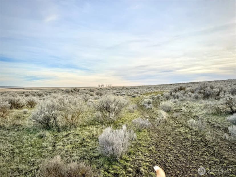 Property photo for 0 15.6 Road Ne #98860, Wilson Creek photo 10