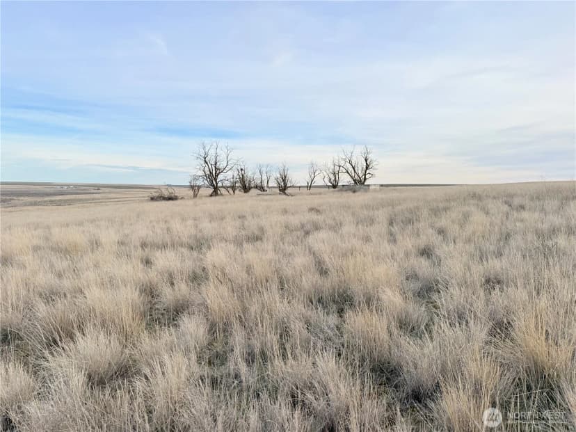 Property photo for 0 15.6 Road Ne #98860, Wilson Creek photo 17
