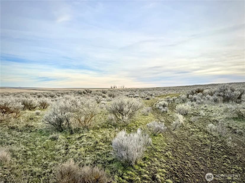 Property photo for 0 15.6 Road Ne #98860, Wilson Creek photo 11