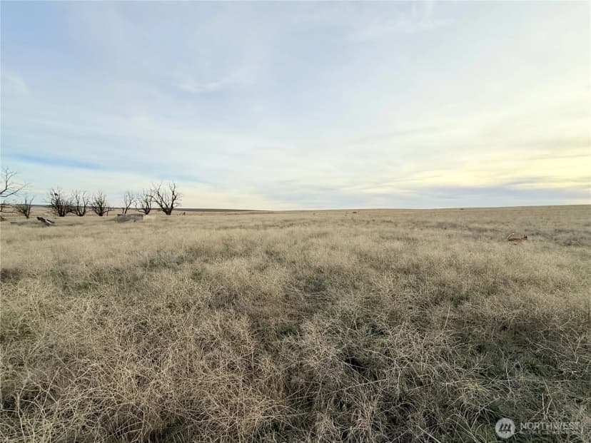 Property photo for 0 15.6 Road Ne #98860, Wilson Creek photo 18
