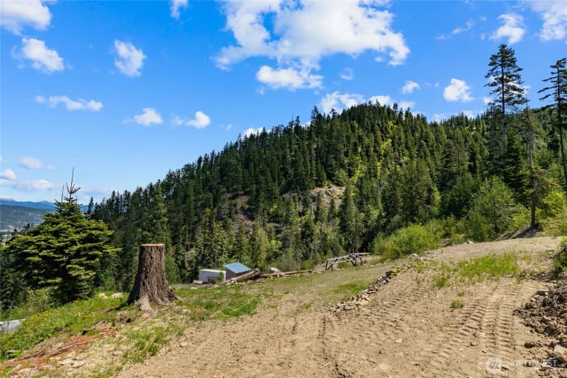 Property photo for 2000 Rocky Mountain Way, Cle Elum photo 6