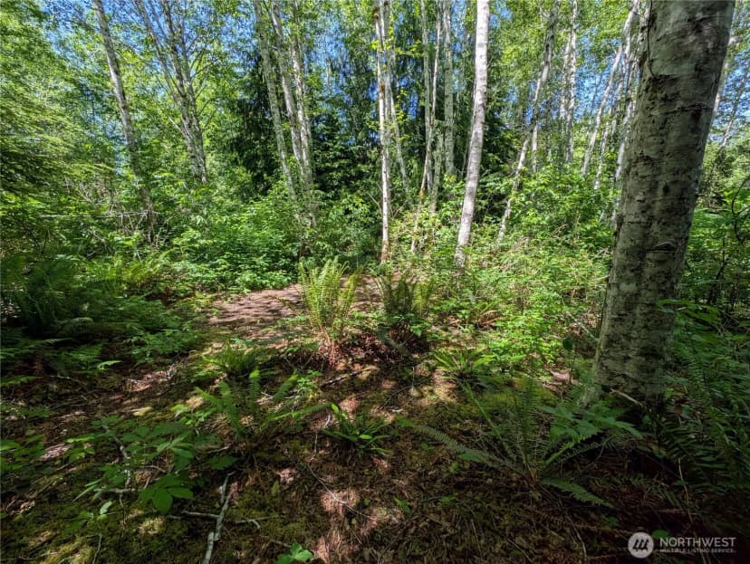 Property photo for 181327 Hwy 101 Highway, Forks photo 33