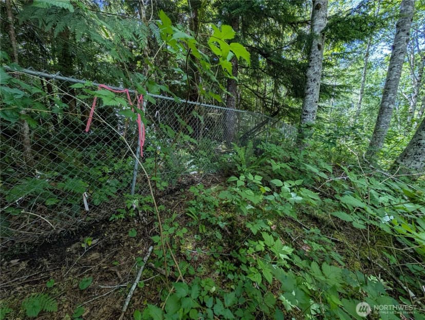 Property photo for 181327 Hwy 101 Highway, Forks photo 30