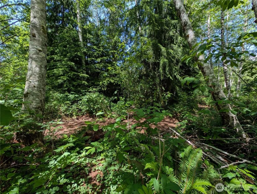 Property photo for 181327 Hwy 101 Highway, Forks photo 36