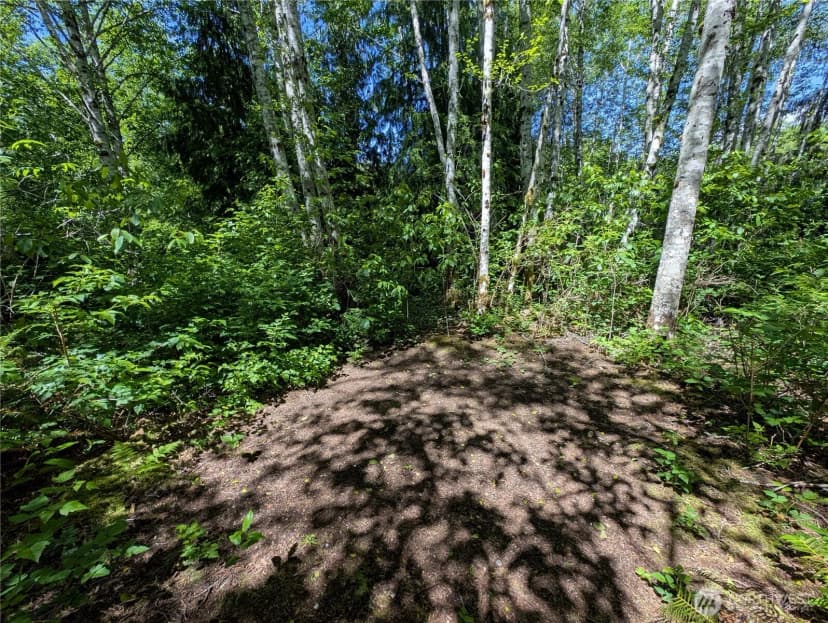 Property photo for 181327 Hwy 101 Highway, Forks photo 34