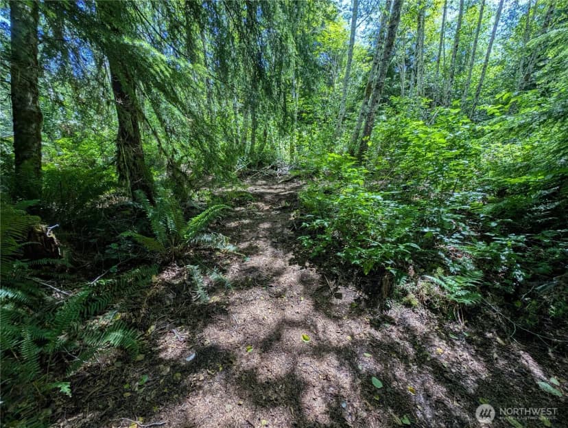 Property photo for 181327 Hwy 101 Highway, Forks photo 18