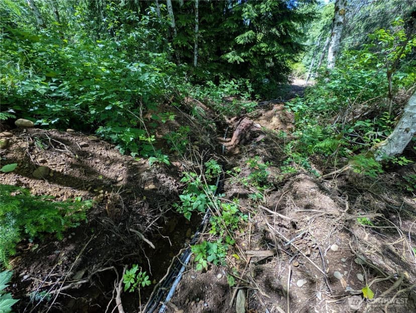 Property photo for 181327 Hwy 101 Highway, Forks photo 14