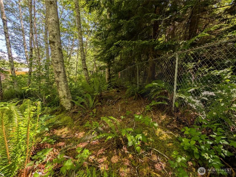 Property photo for 181327 Hwy 101 Highway, Forks photo 35