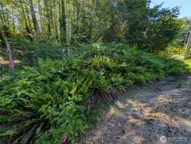 Property photo for 181327 Hwy 101 Highway, Forks photo 4