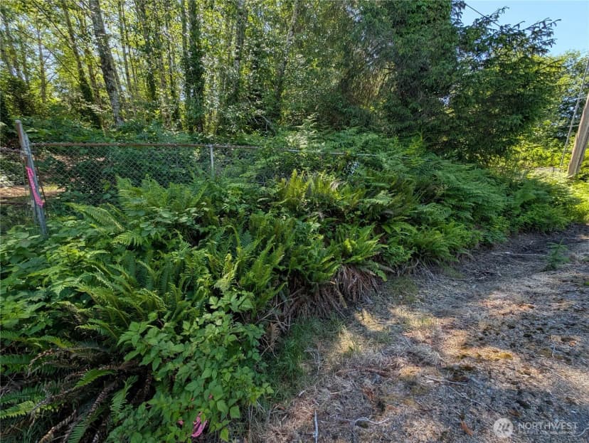 Property photo for 181327 Hwy 101 Highway, Forks photo 4
