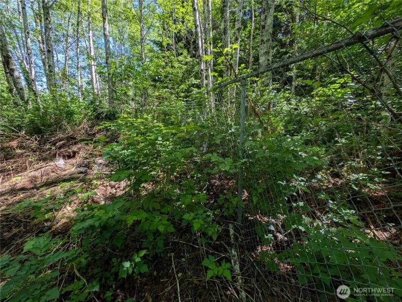 Property photo for 181327 Hwy 101 Highway, Forks photo 22