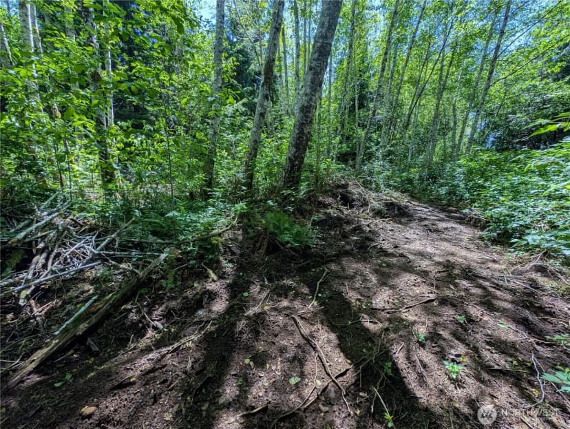 Property photo for 181327 Hwy 101 Highway, Forks photo 19