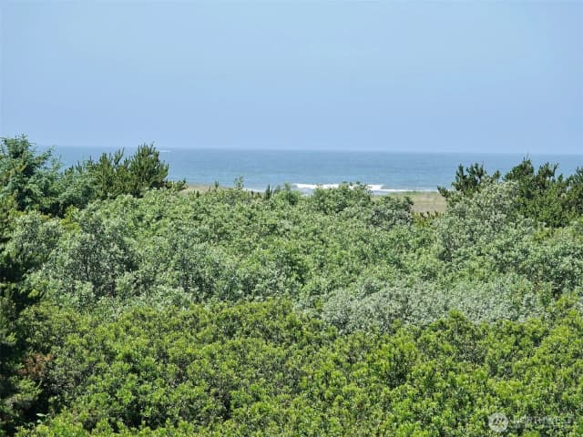 Property photo for 615 Ocean Shores Boulevard Nw #318, Ocean Shores photo 5