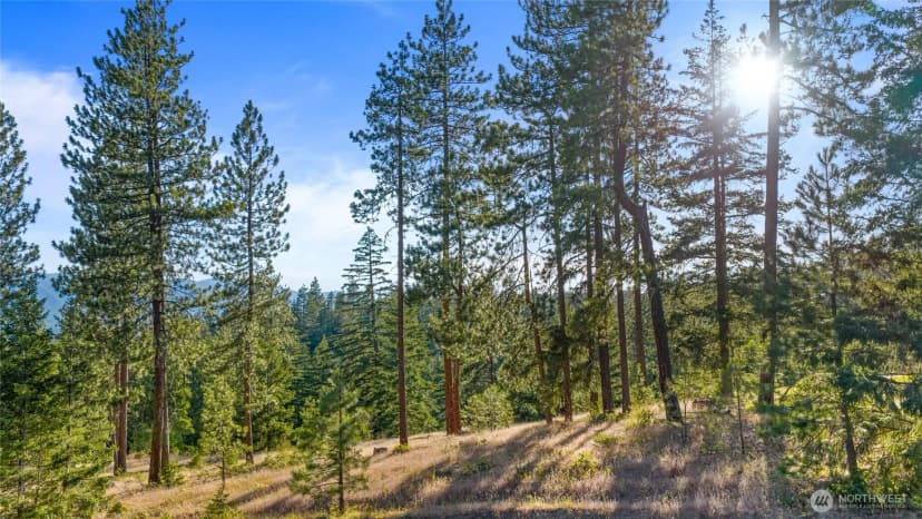 Property photo for 1631 Creekside Road, Cle Elum photo 14