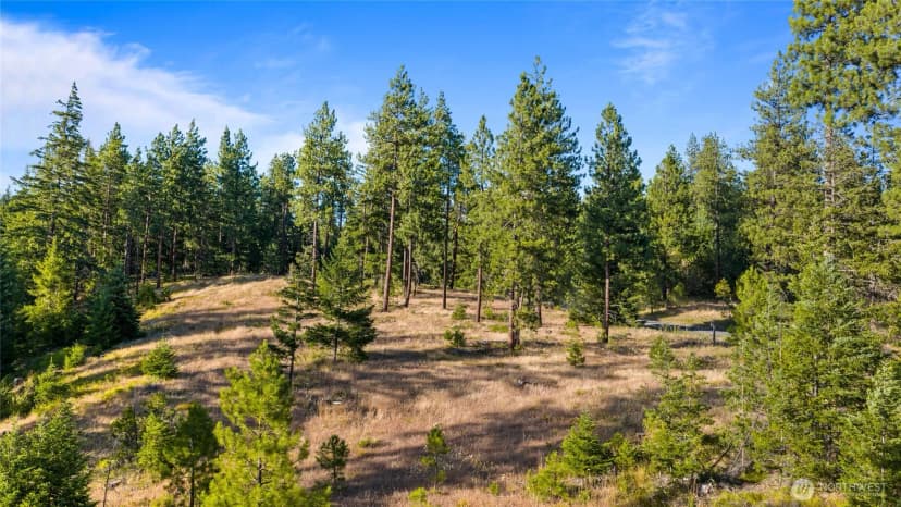 Property photo for 1631 Creekside Road, Cle Elum photo 16