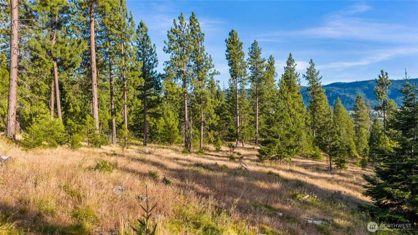Property photo for 1631 Creekside Road, Cle Elum photo 8