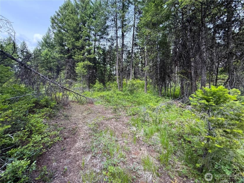 Property photo for 0 Mule Deer, Republic photo 9