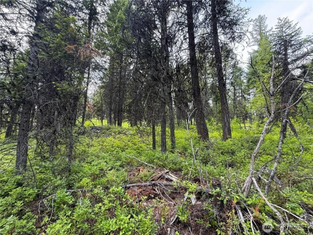 Property photo for 0 Mule Deer, Republic photo 4