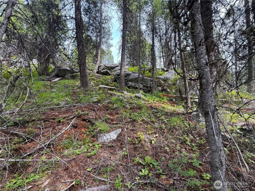Property photo for 0 Mule Deer, Republic photo 7
