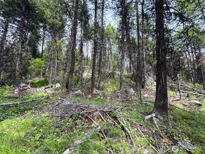 Property photo for 0 Mule Deer, Republic photo 6