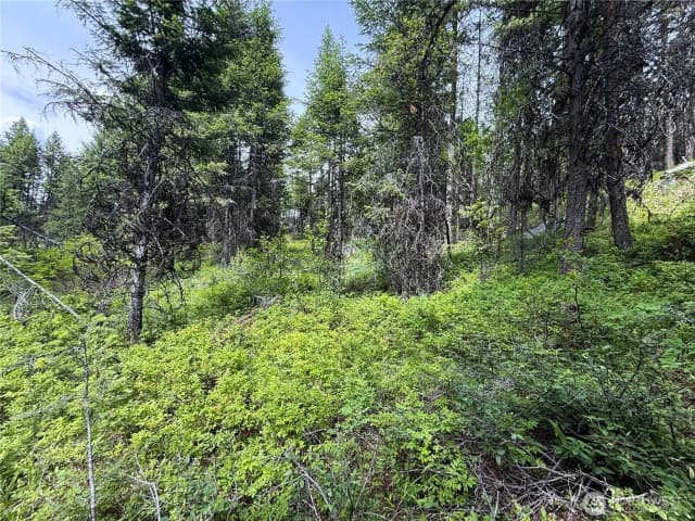 Property photo for 0 Mule Deer, Republic