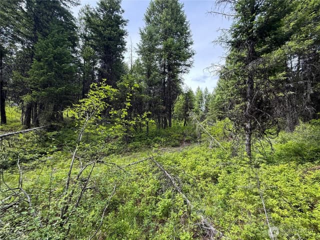 Property photo for 0 Mule Deer, Republic photo 3