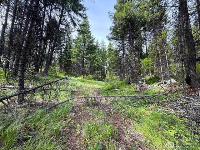 Property photo for 0 Mule Deer, Republic photo 5
