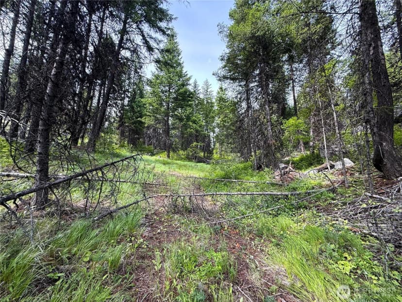 Property photo for 0 Mule Deer, Republic photo 5