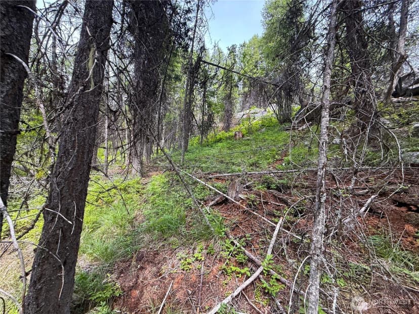 Property photo for 0 Mule Deer, Republic photo 8