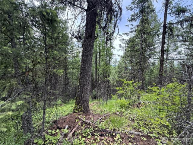 Property photo for 0 Mule Deer Road, Republic photo 3