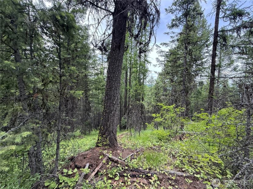 Property photo for 0 Mule Deer Road, Republic photo 3