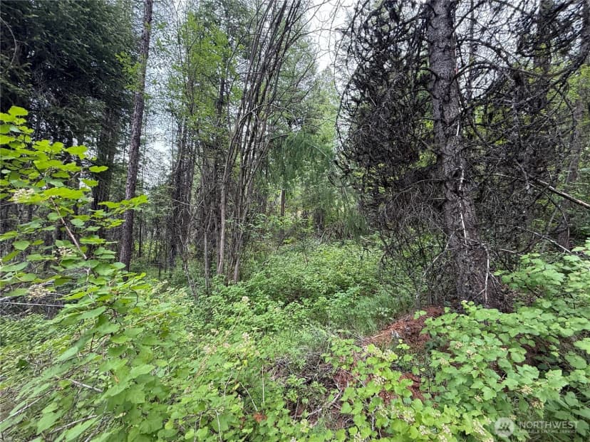 Property photo for 0 Mule Deer Road, Republic photo 7