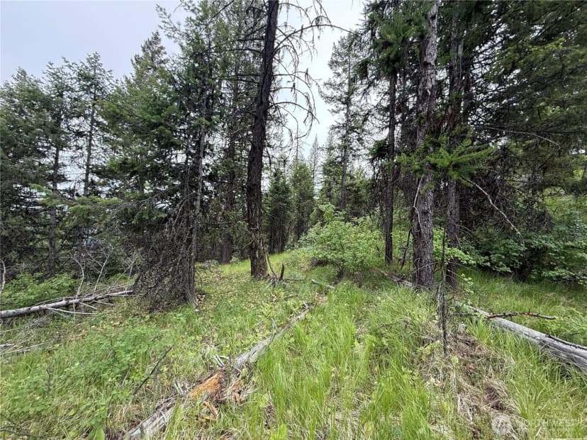 Property photo for 0 Mule Deer Road, Republic photo 16