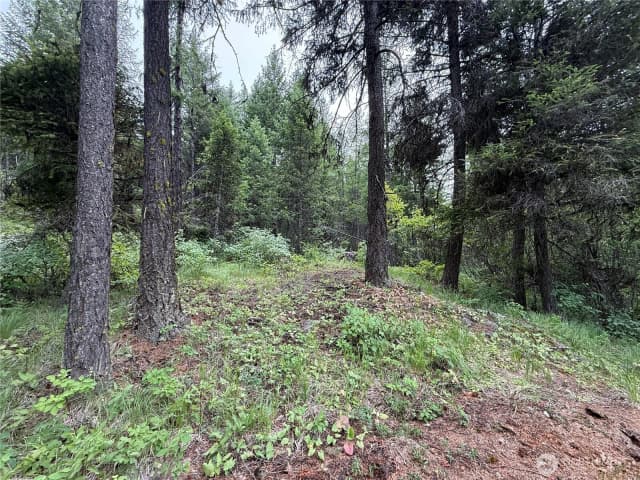 Property photo for 0 Mule Deer Road, Republic