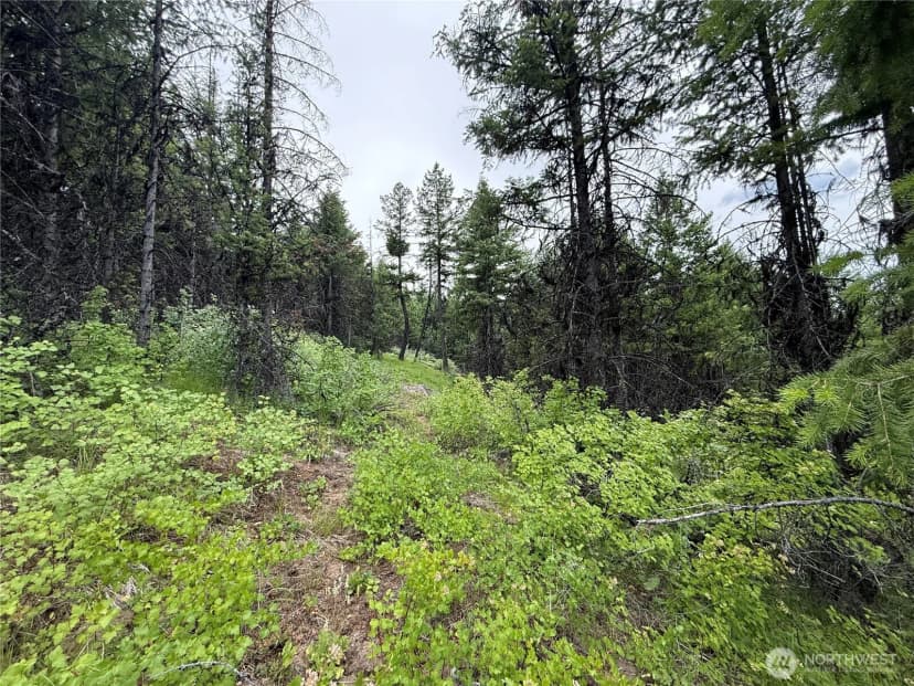 Property photo for 0 Mule Deer Road, Republic photo 11