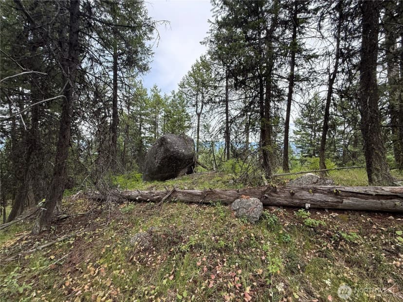 Property photo for 0 Mule Deer Road, Republic photo 14