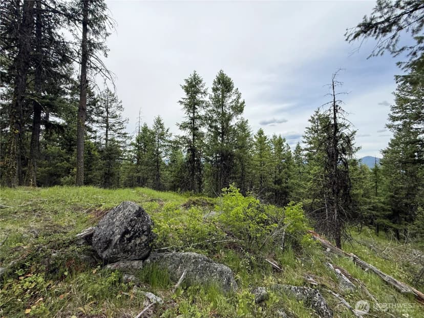 Property photo for 0 Mule Deer Road, Republic photo 20