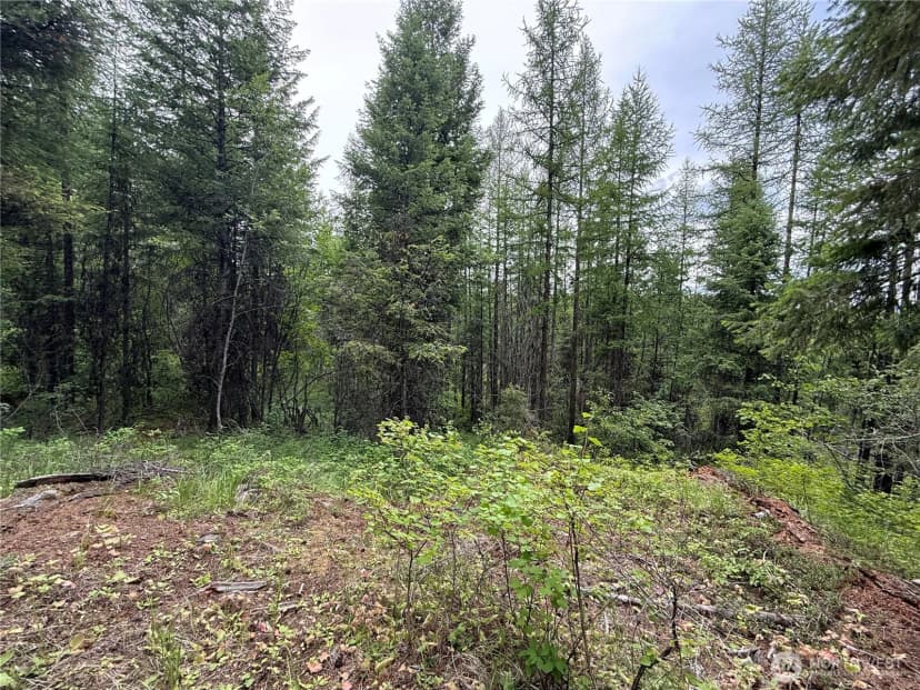 Property photo for 0 Mule Deer Road, Republic photo 9