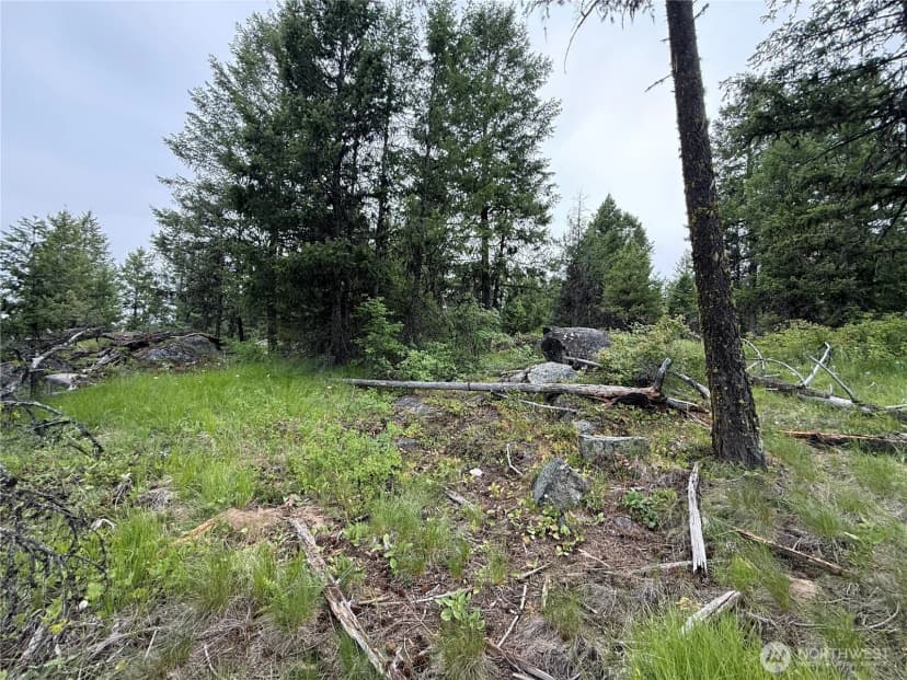 Property photo for 0 Mule Deer Road, Republic photo 19