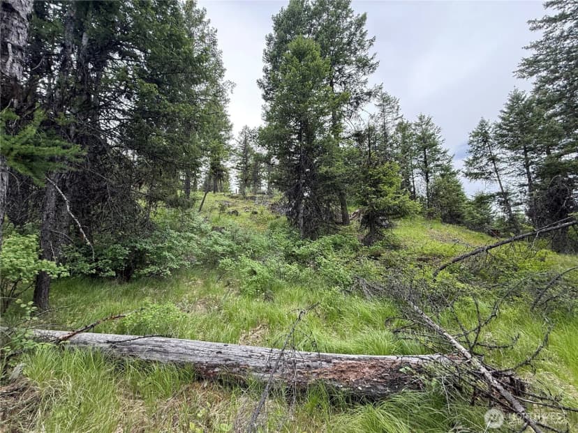 Property photo for 0 Mule Deer Road, Republic photo 17
