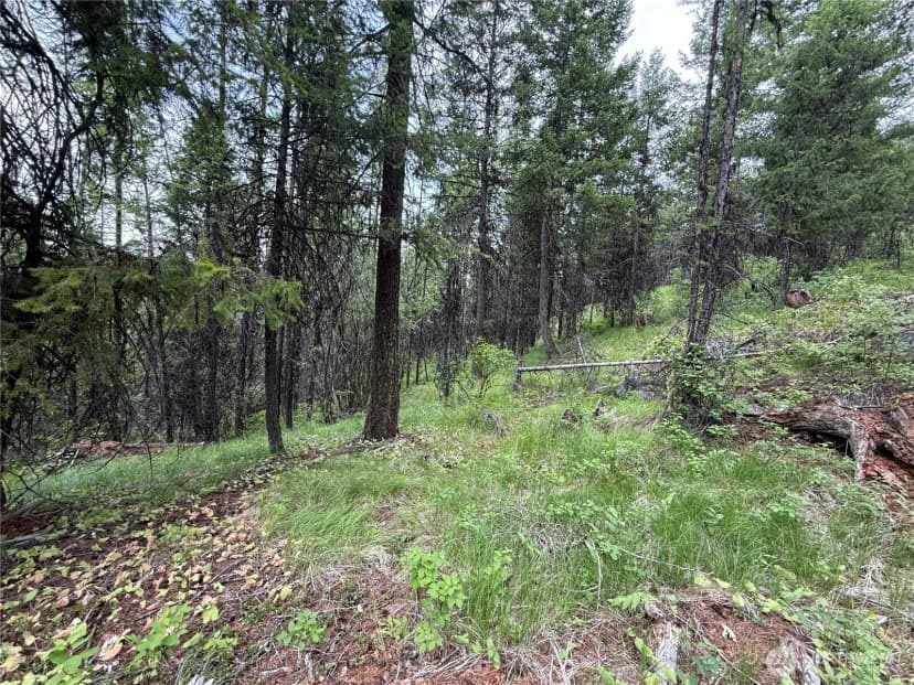 Property photo for 0 Mule Deer Road, Republic photo 8