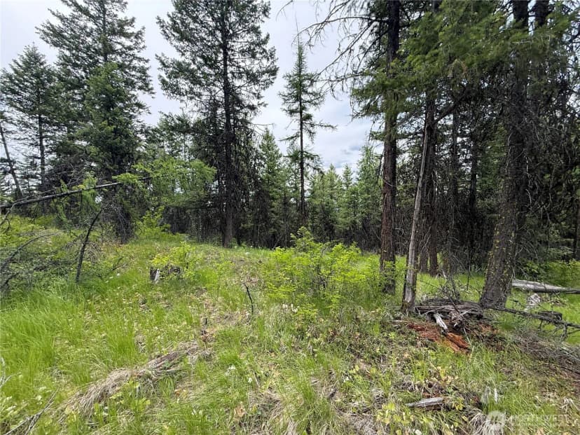 Property photo for 0 Mule Deer Road, Republic photo 18